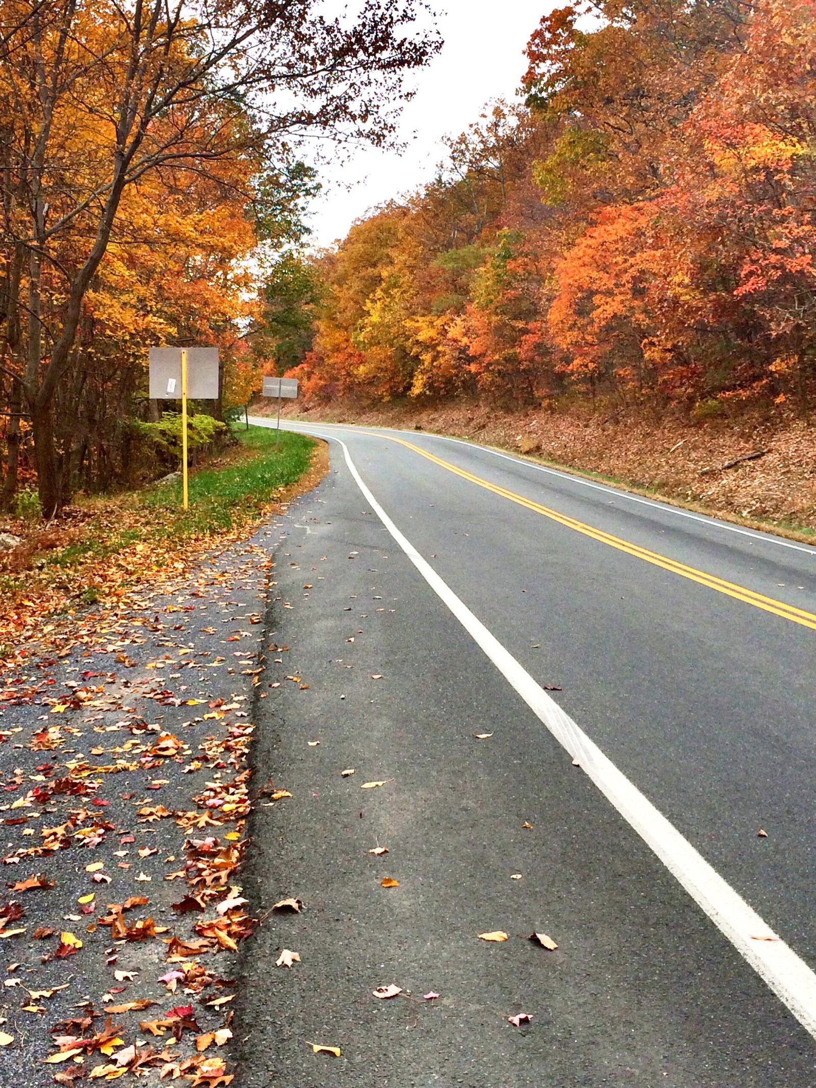 autumn road us