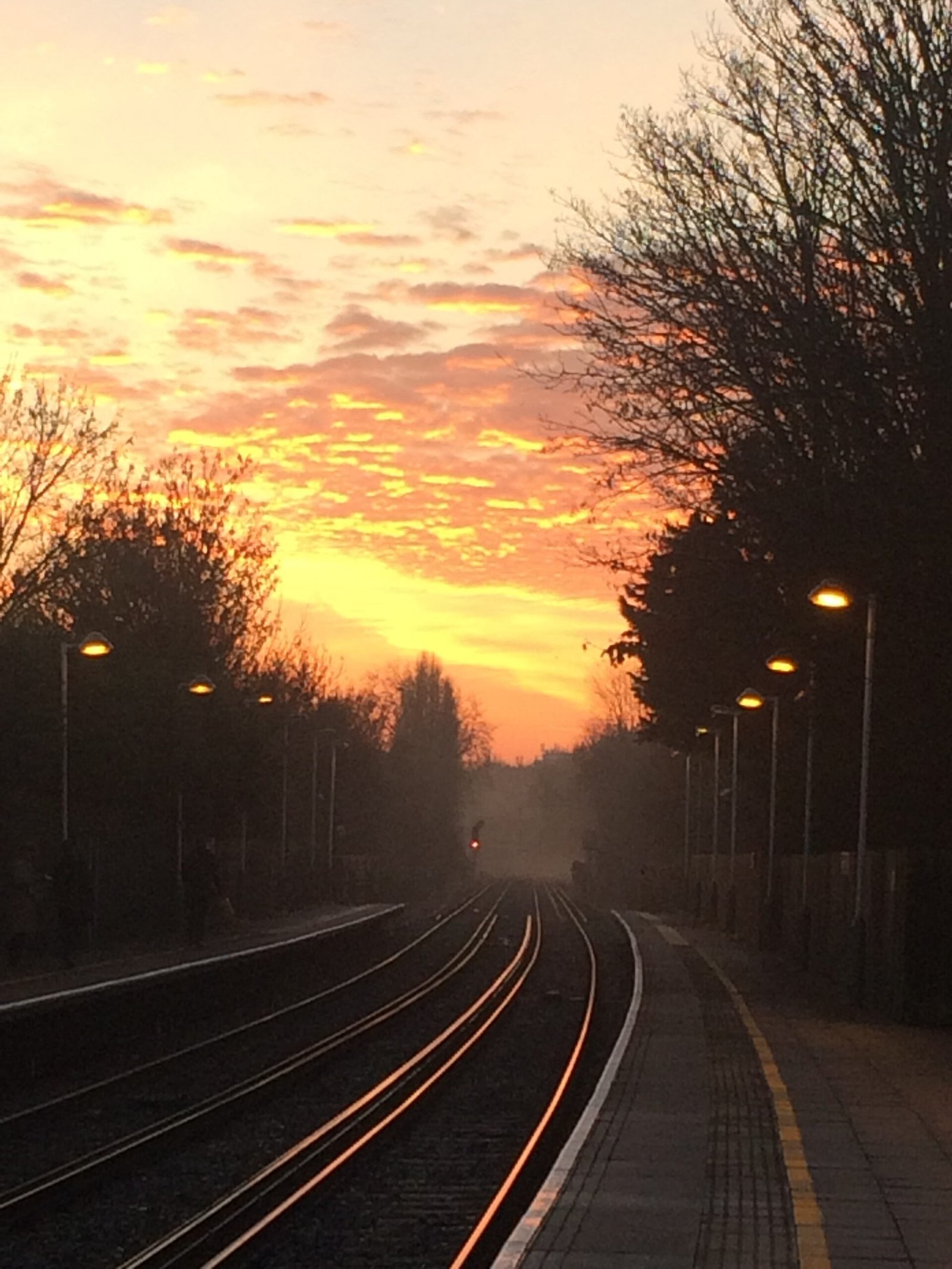 barnes rail sunrise